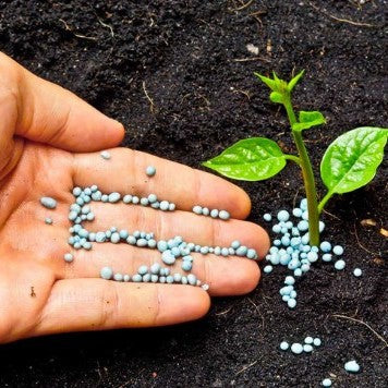 Cura e Nutrimento per le Tue Piante