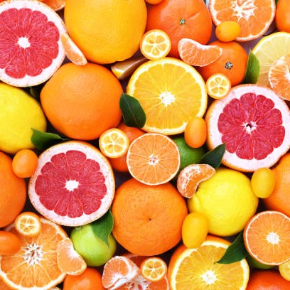 Agrumi, viti e piante da frutto