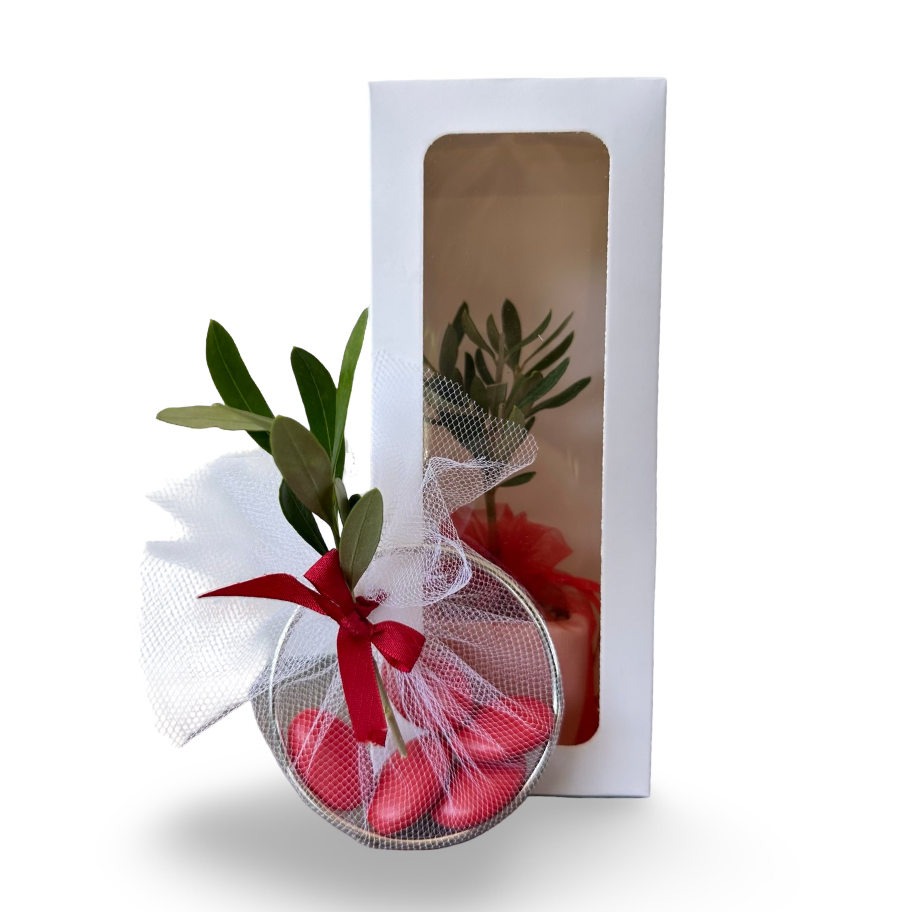 Set Piantine Ulivo per bomboniere in vaso ceramica quadrato CERTIFICATE