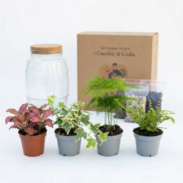 Kit Fai Da Te Terrarium Completo - Crea il Tuo Mini Giardino Elegante