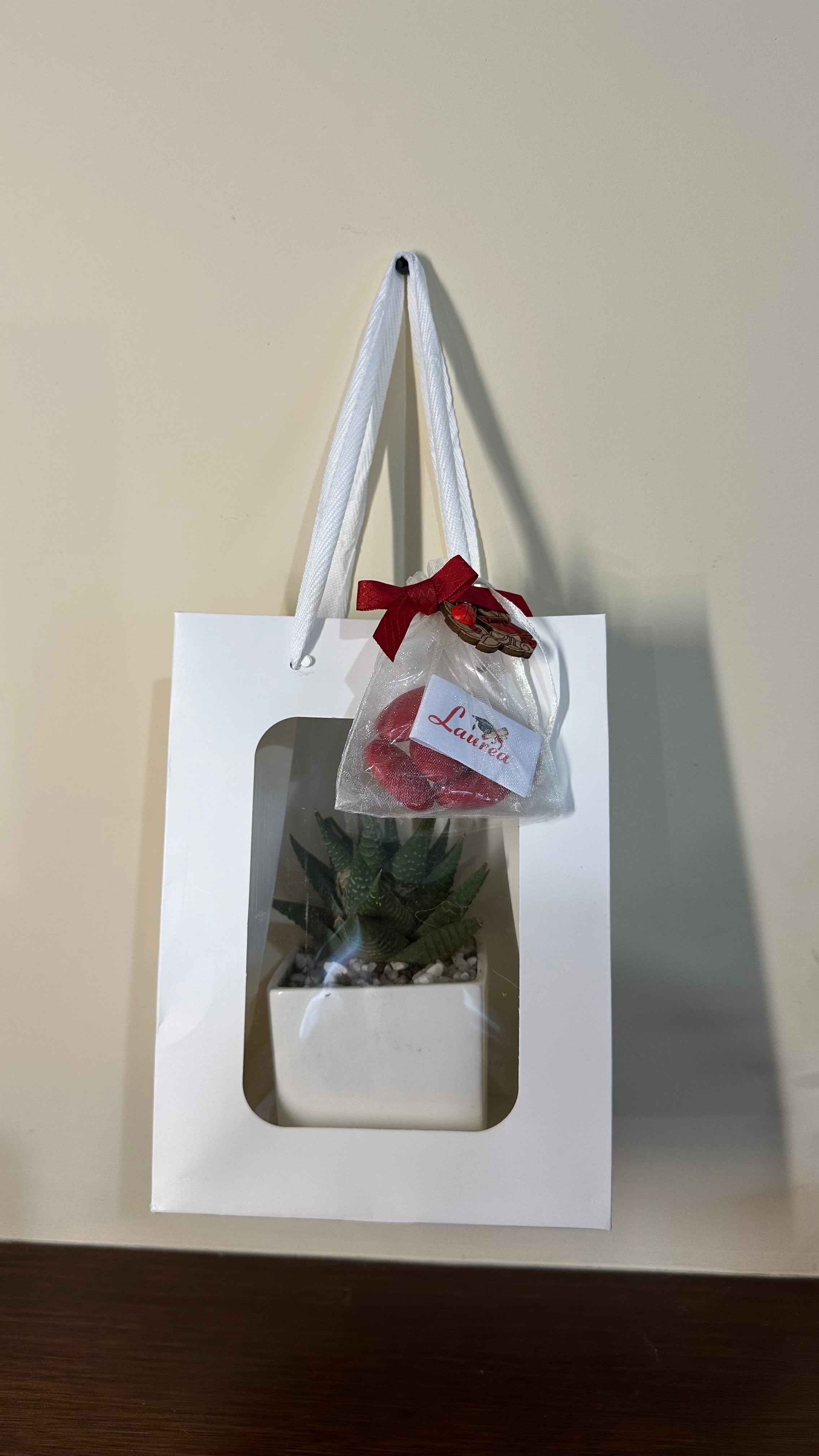 Set 5 Borse per Bomboniere 20cm x 15cm x 10cm con finestra trasparente