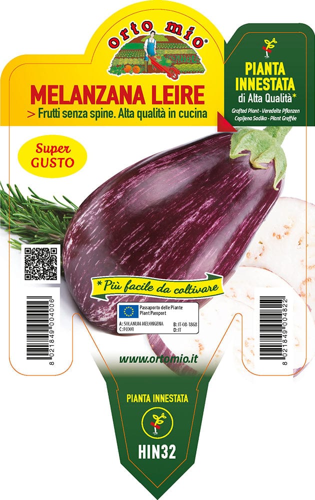 Melanzana striata var. Lucilla F1 - Orto Mio