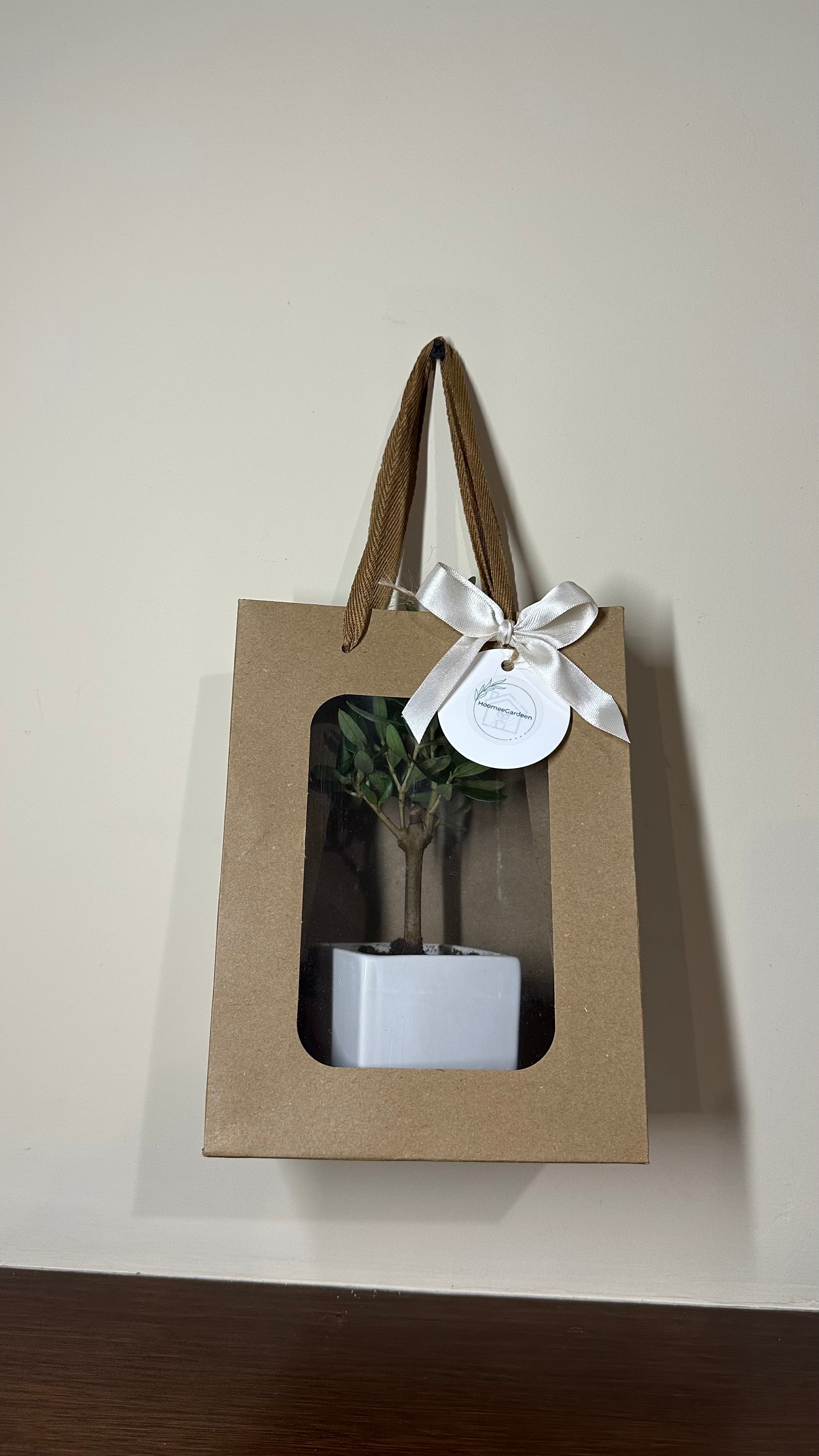 Set 5 Borse per Bomboniere 20cm x 15cm x 10cm con finestra trasparente