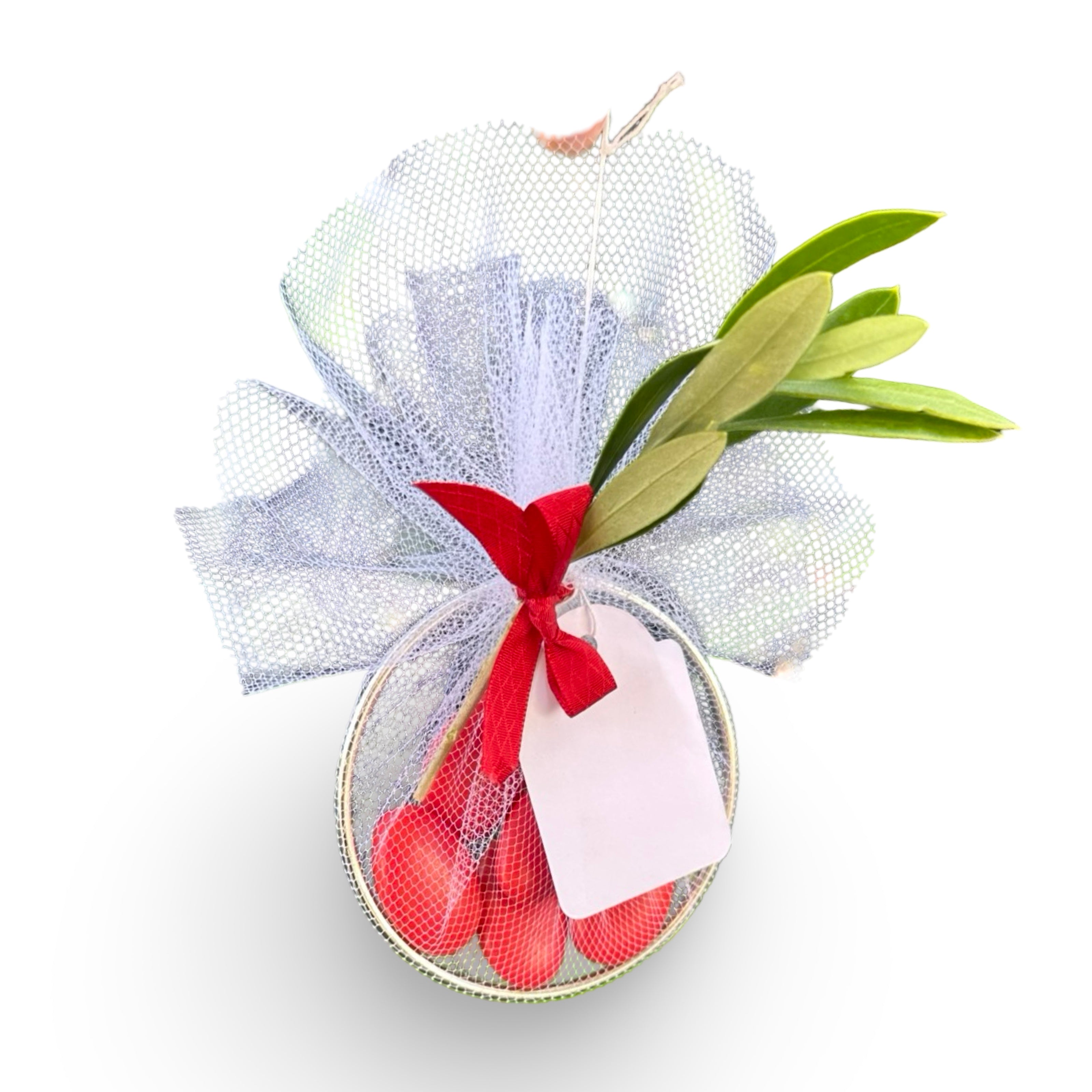 Set Piantine Ulivo per bomboniere in vaso ceramica quadrato CERTIFICATE