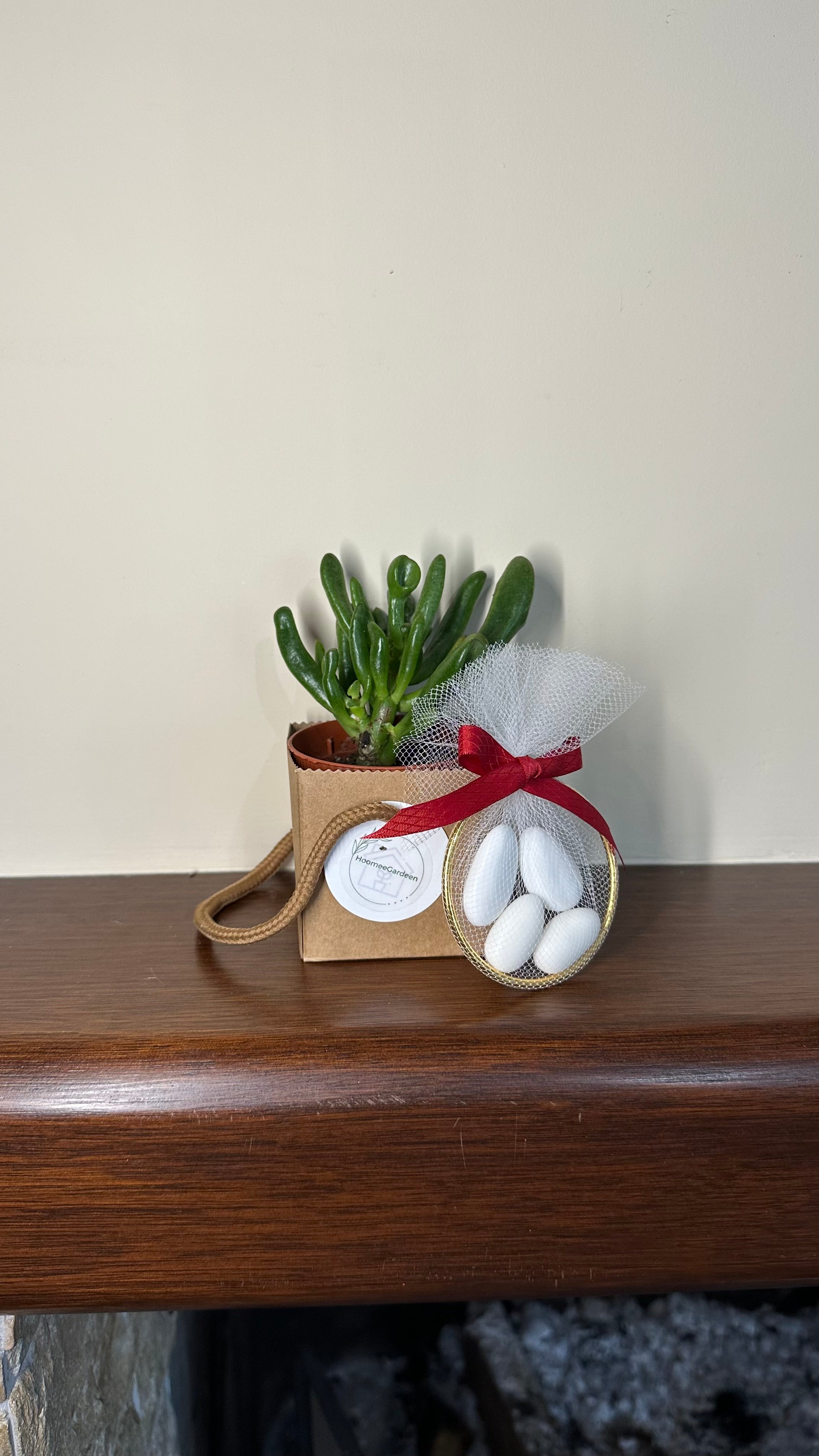 Set 5 Scatoline per Bomboniere 6,5cmx6,5cmx6,5cm