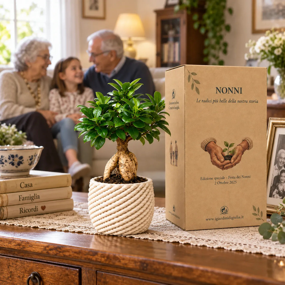 Bonsai ficus ginseng Carina  in ceramica edizione festa dei nonni
