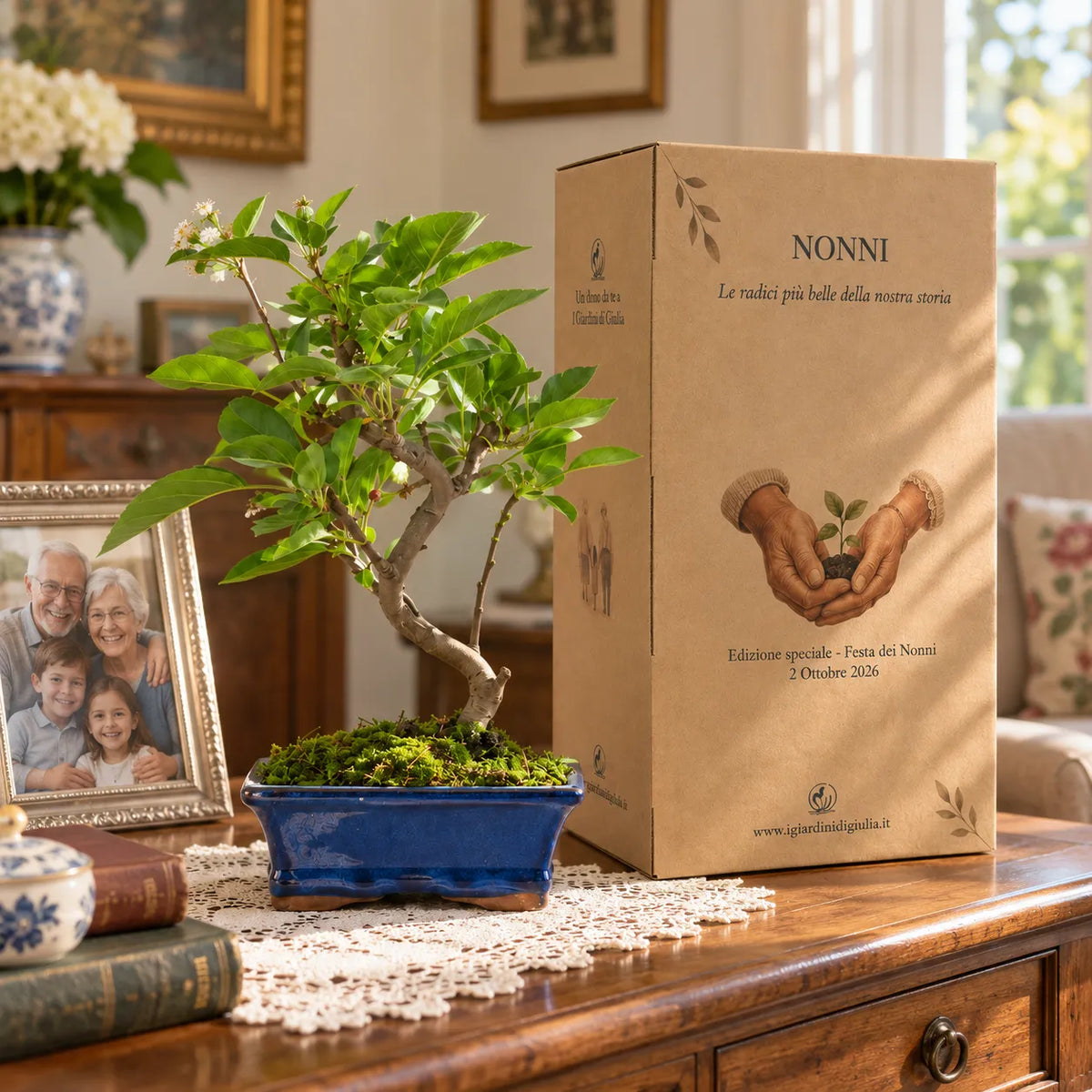 Bonsai Melo 7 anni - Collezione premium edizione festa dei nonni