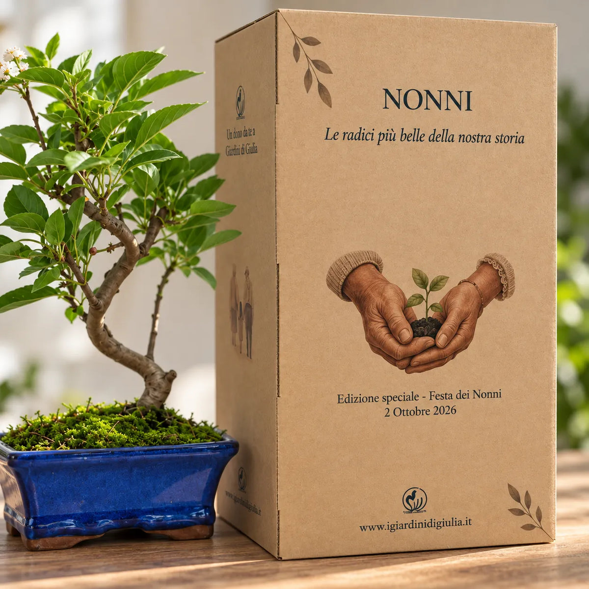 Bonsai Melo 7 anni - Collezione premium edizione festa dei nonni