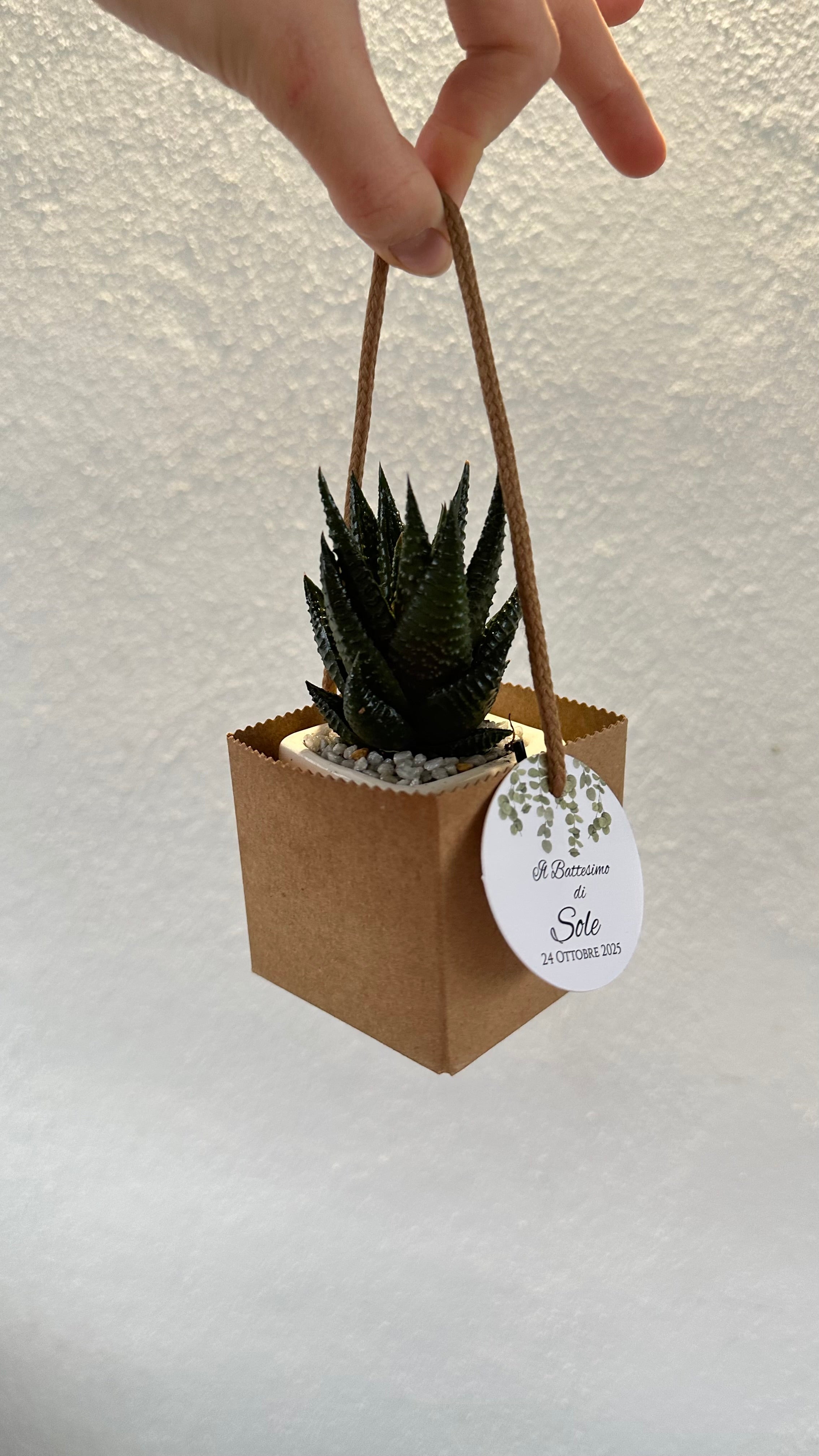 Set 5 Scatoline per Bomboniere 6,5cmx6,5cmx6,5cm