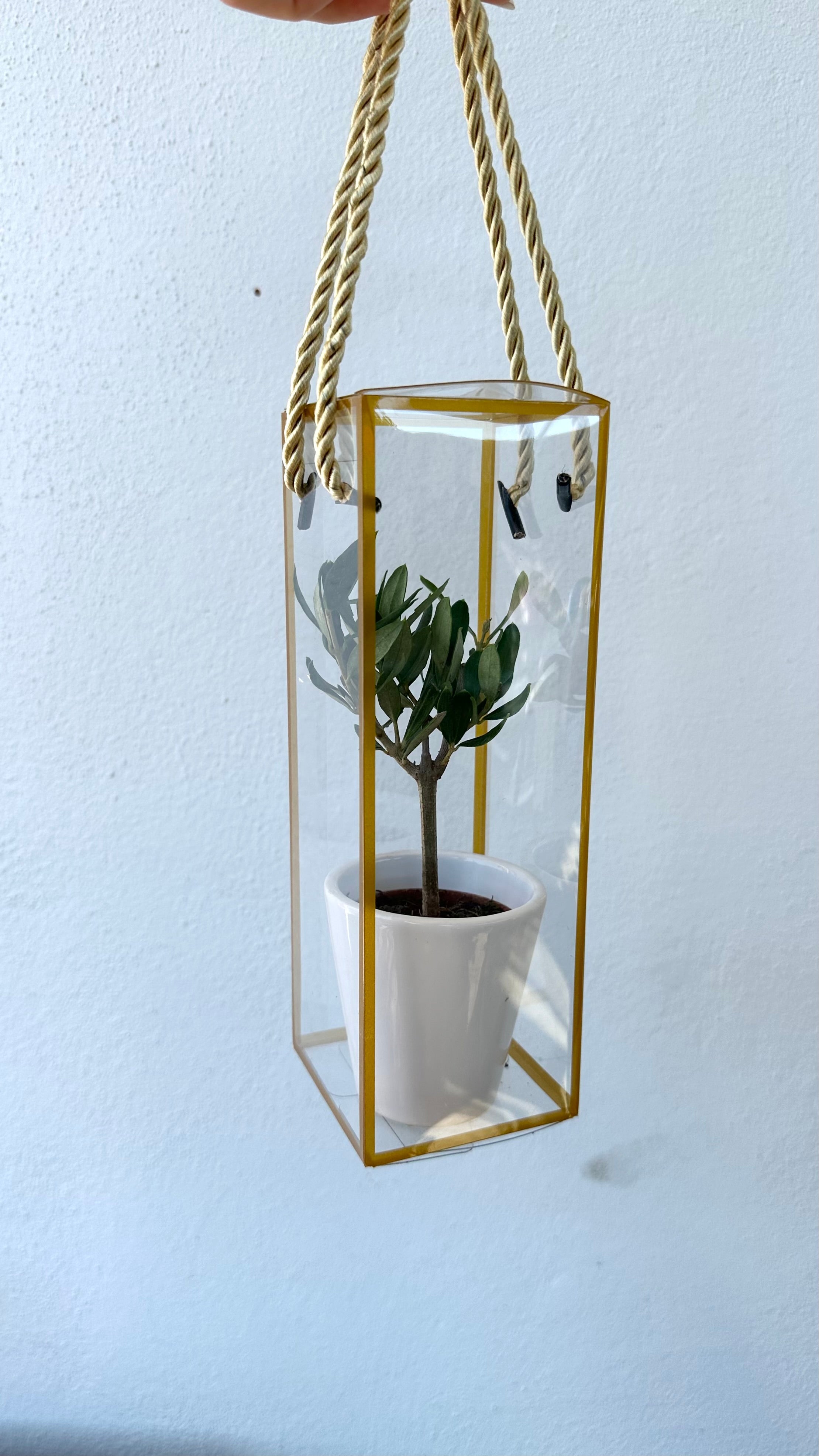 Set 5 Scatoline per Bomboniere 7cm x 7cm x 21cm Trasparenti bordi oro e lacci