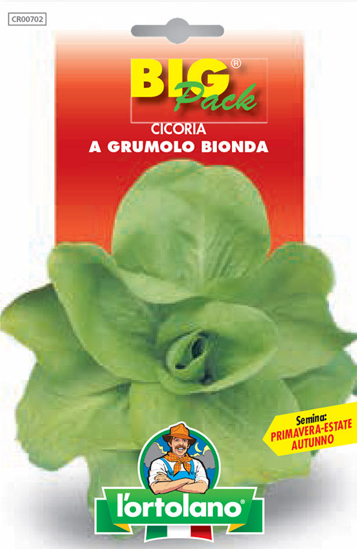 Semi di Cicoria Grumolo Bionda - bustina big pack