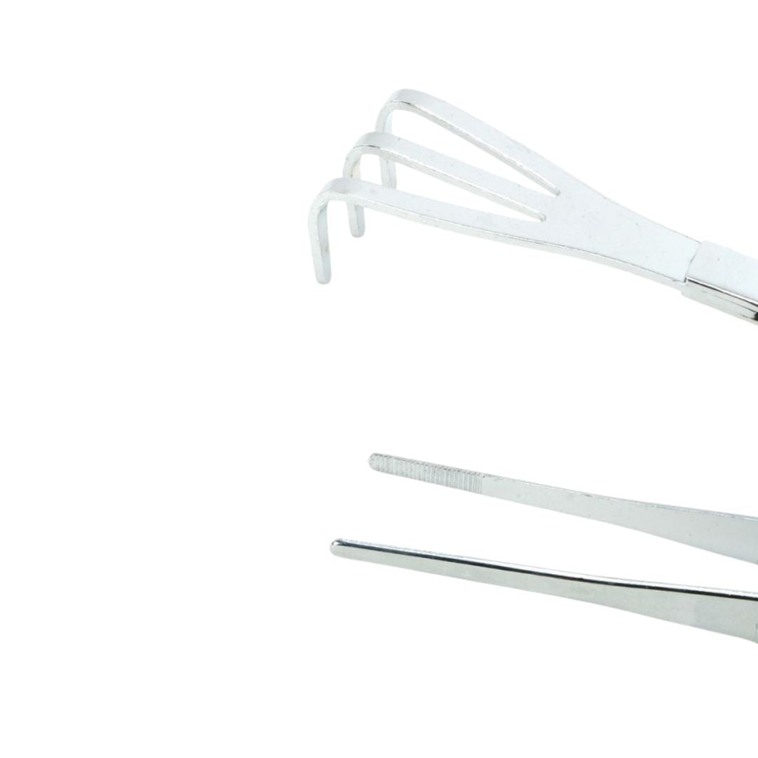 Rastrellino con pinzetta 220 mm per bonsai