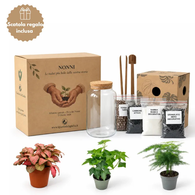 Kit Terrarium Fai Da Te  edizione festa dei nonni