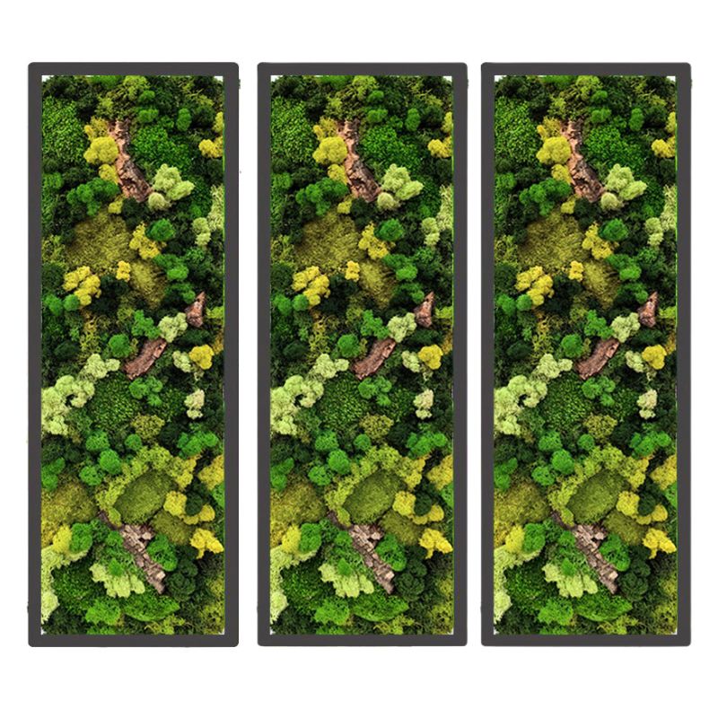 Quadro Rettangolare con Cornice Bianca o Nera e Inserti in Sughero