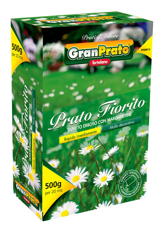 Semi di prato fiorito tappeto erboso con margherite - 500 gr
