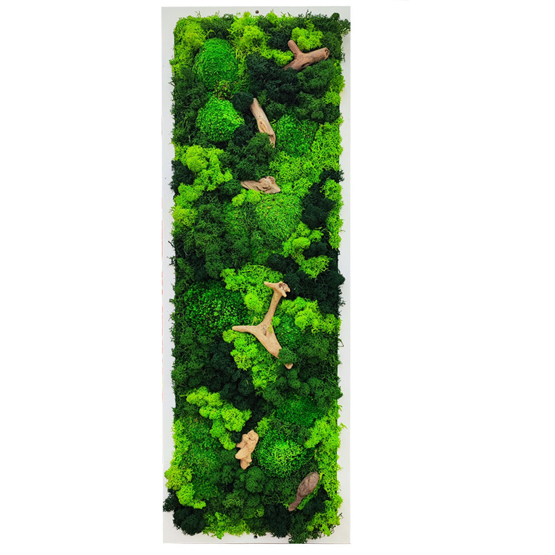 Quadro Rettangolare con Cornice Bianca o Nera e Inserti in Legno Naturale .