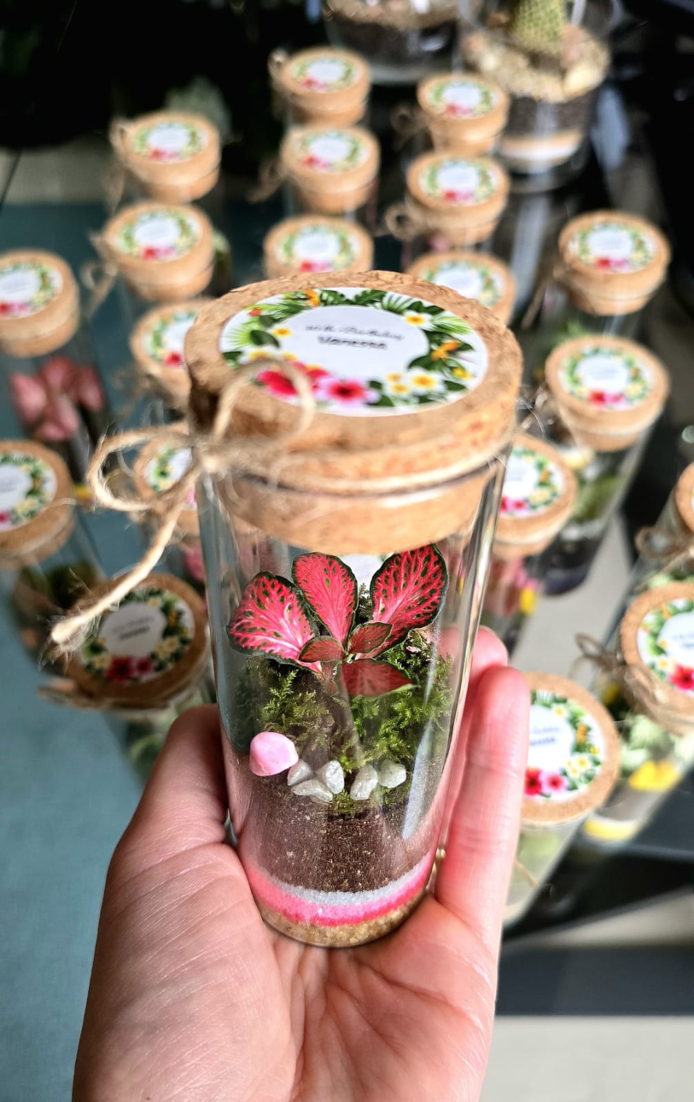 Terrarium cilindro chiuso ∅4,5cm H12cm