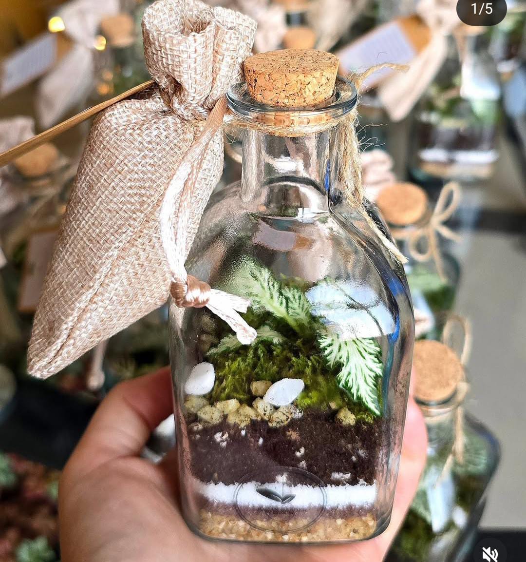 Terrarium chiuso base quadrata ∅6,5cm H13cm