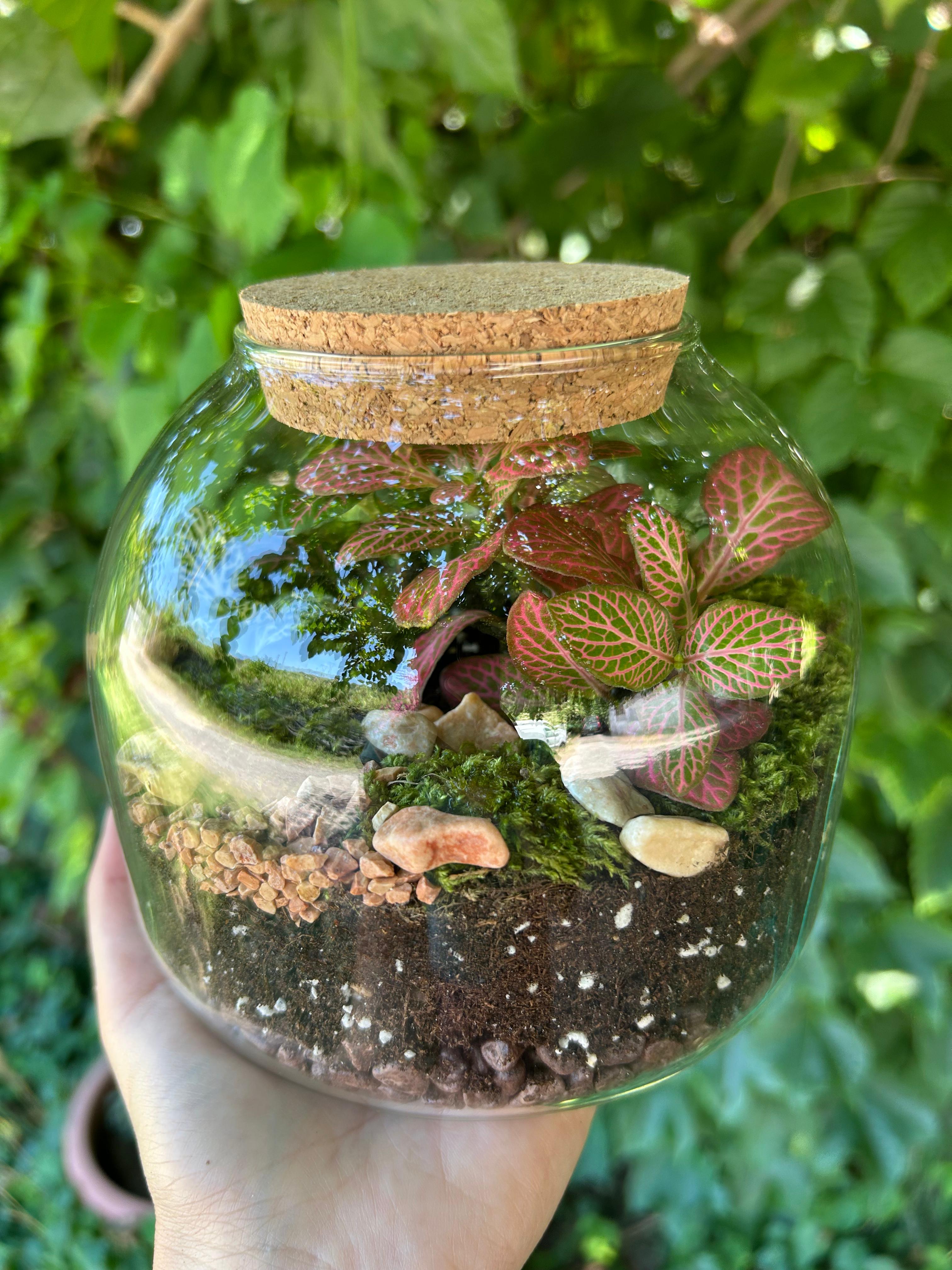 Terrarium chiuso ∅14cm H20cm