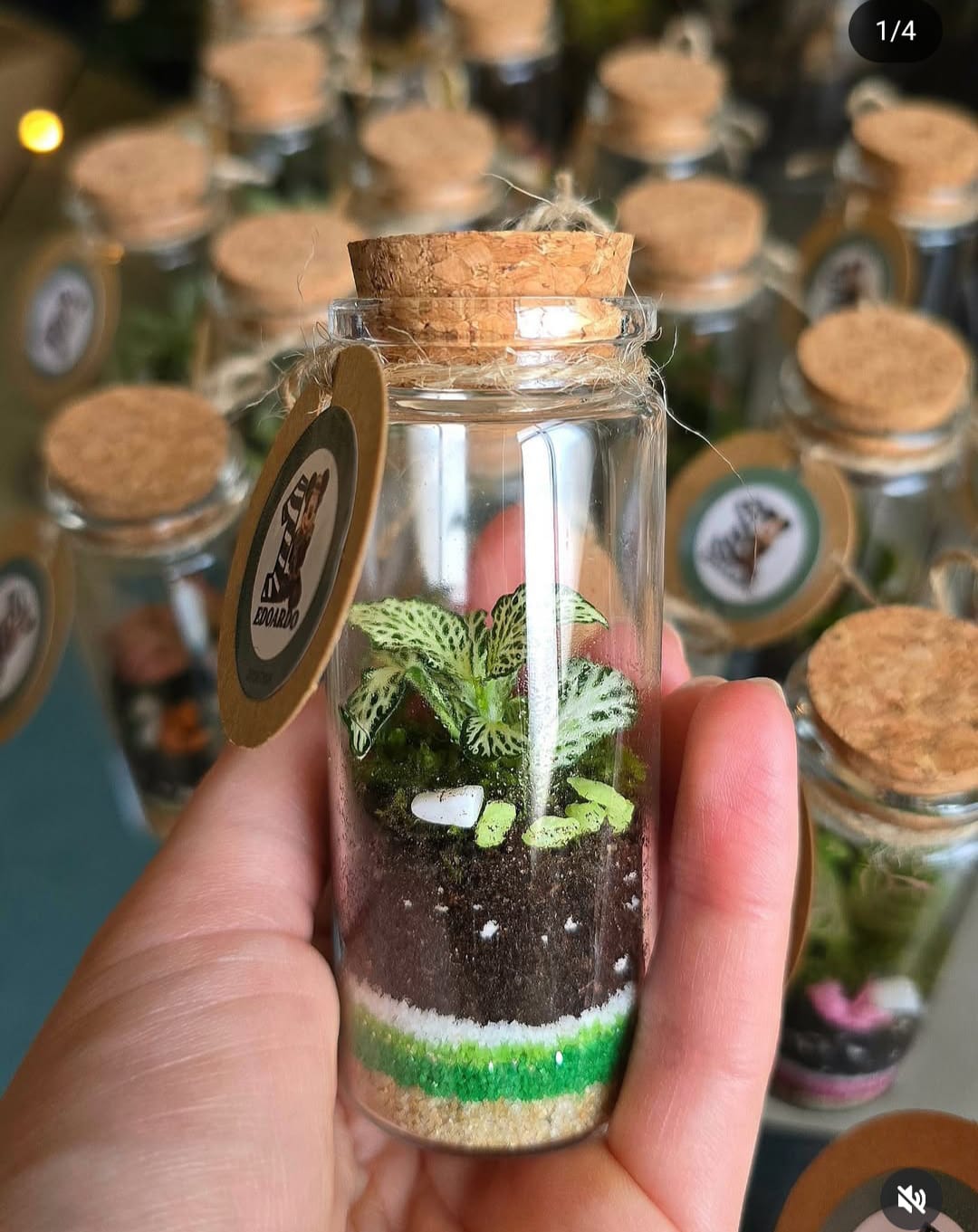 Terrarium cilindro chiuso ∅3,5cm H10cm