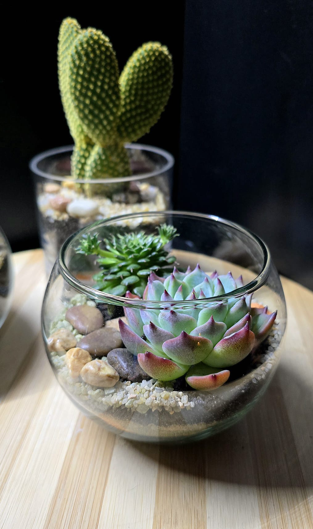 Terrarium aperto in vetro ∅11cm
