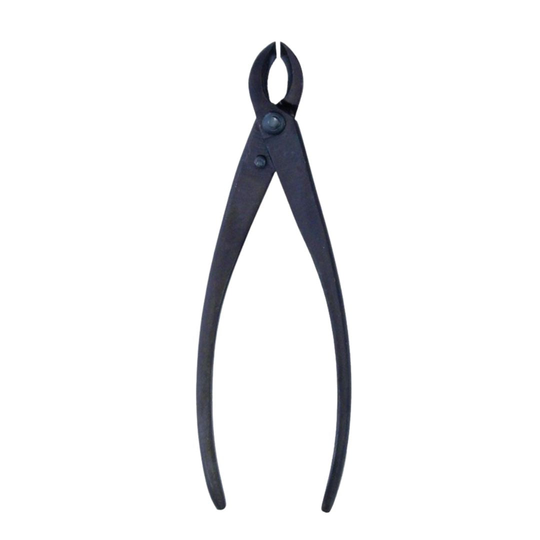 Tronchese concavo taglio dritto per bonsai