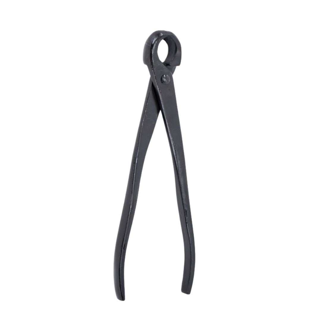 Tronchese tondo per bonsai