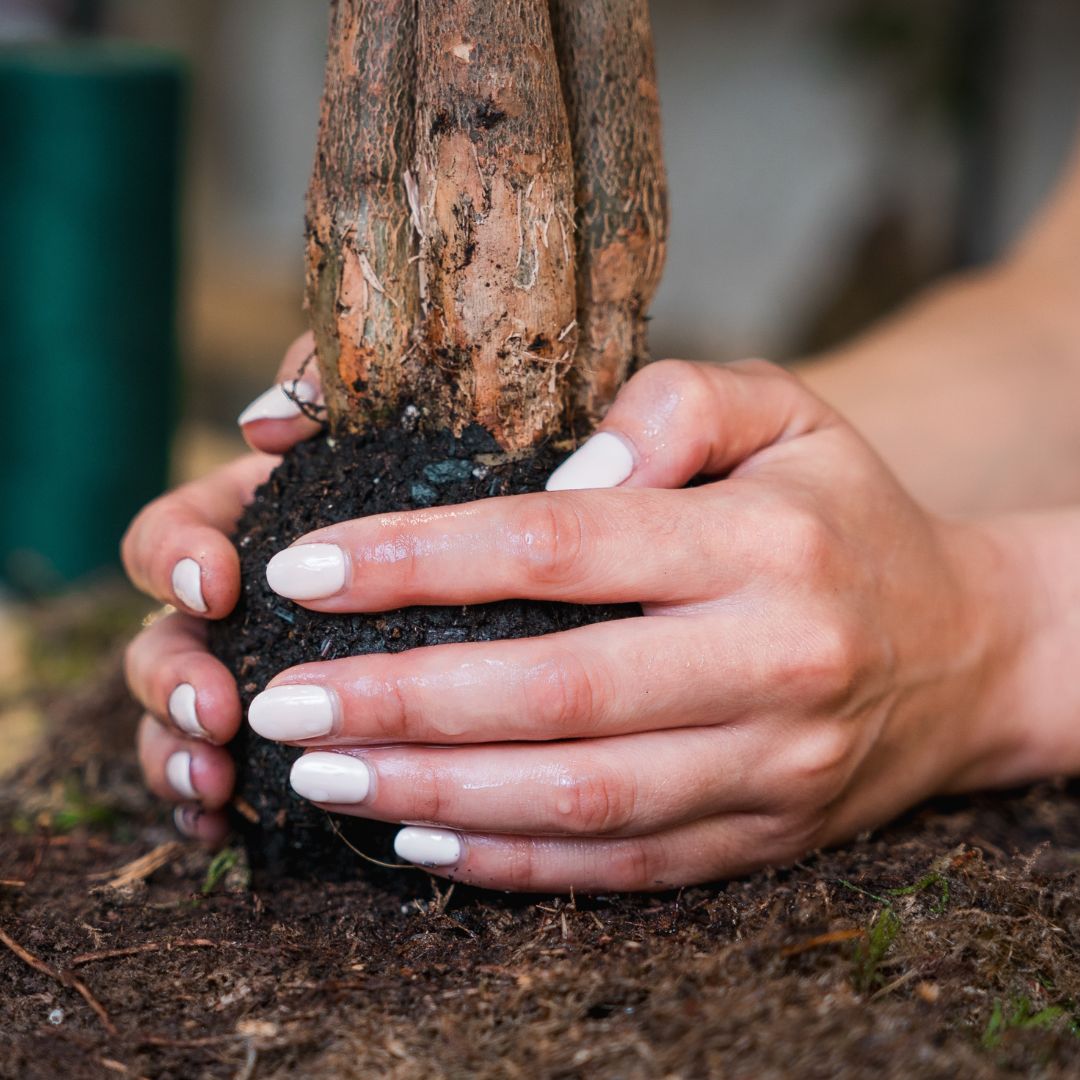 Substrato KETO per bonsai 1.2 L