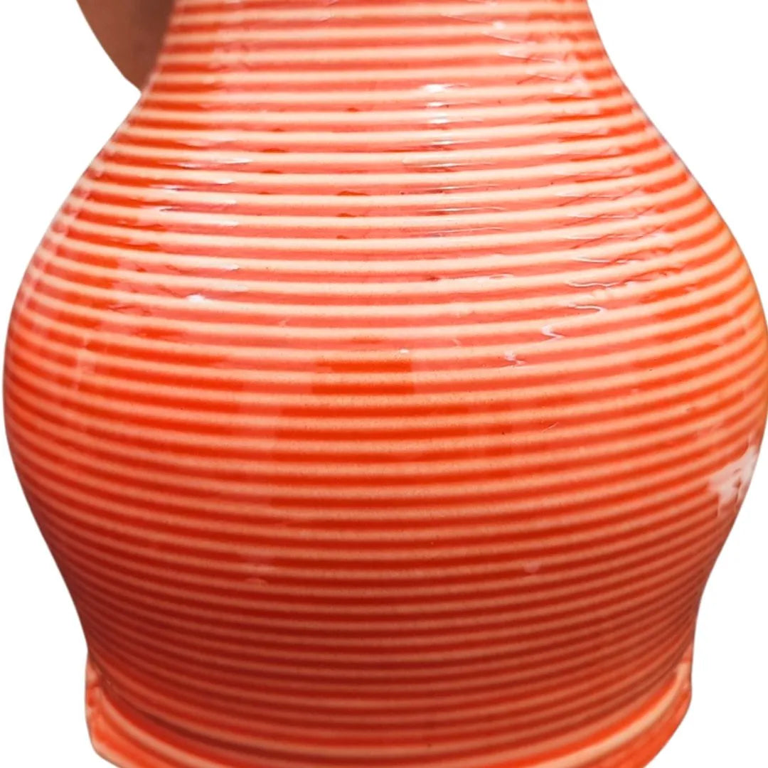 Aglaonema Purple beauty in idrocultura in vaso artigianale in argilla