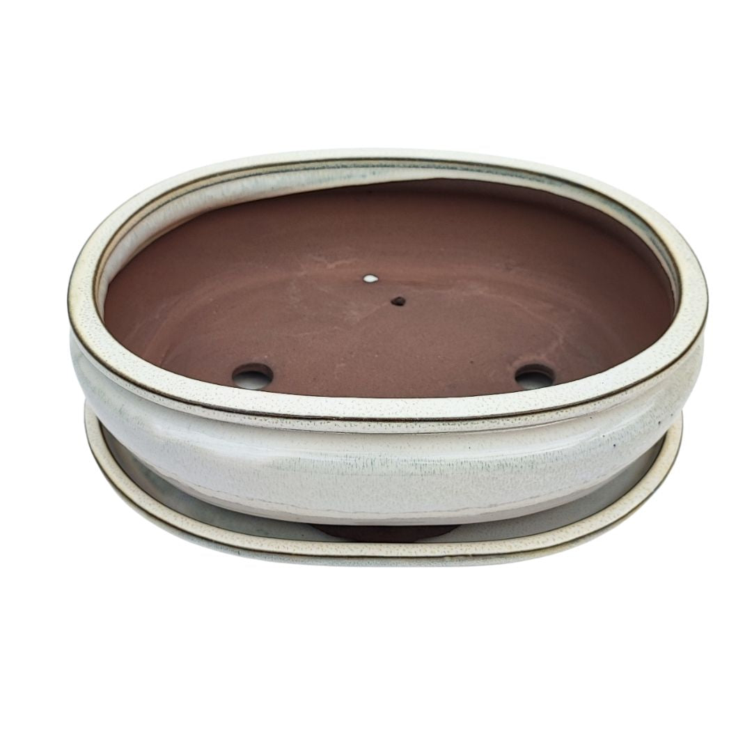 BASIC CLASS Vaso ovale con sottovaso colori