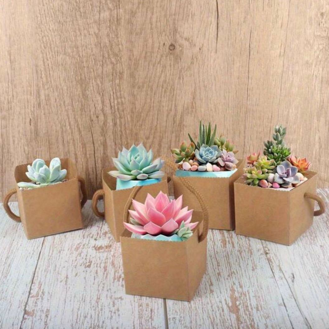 Set 5 Scatoline per Bomboniere 6,5cmx6,5cmx6,5cm