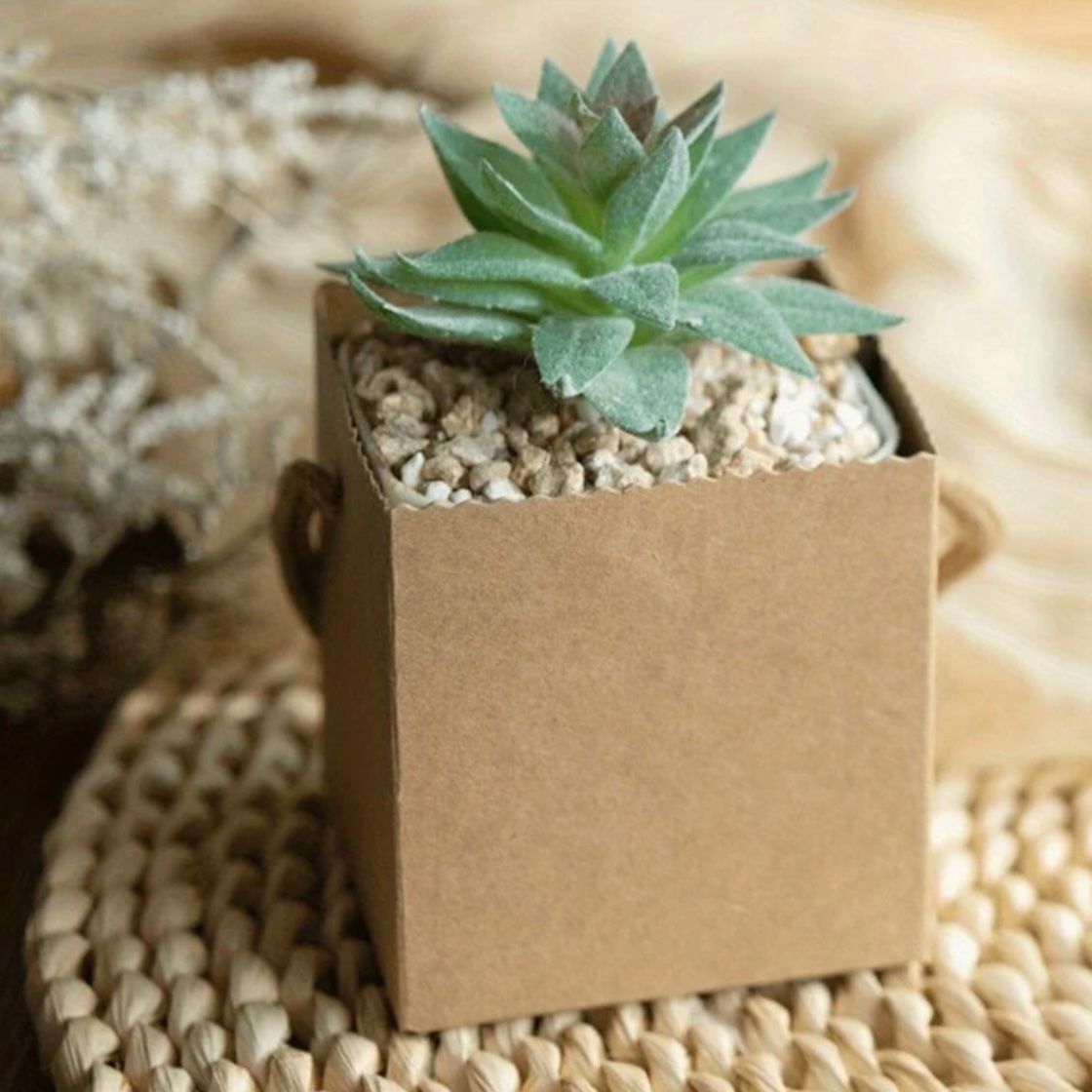 Set 5 Scatoline per Bomboniere 6,5cmx6,5cmx6,5cm