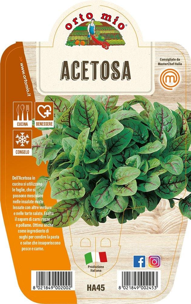 Acetosa - 1 pianta v.14 cm - Orto Mio