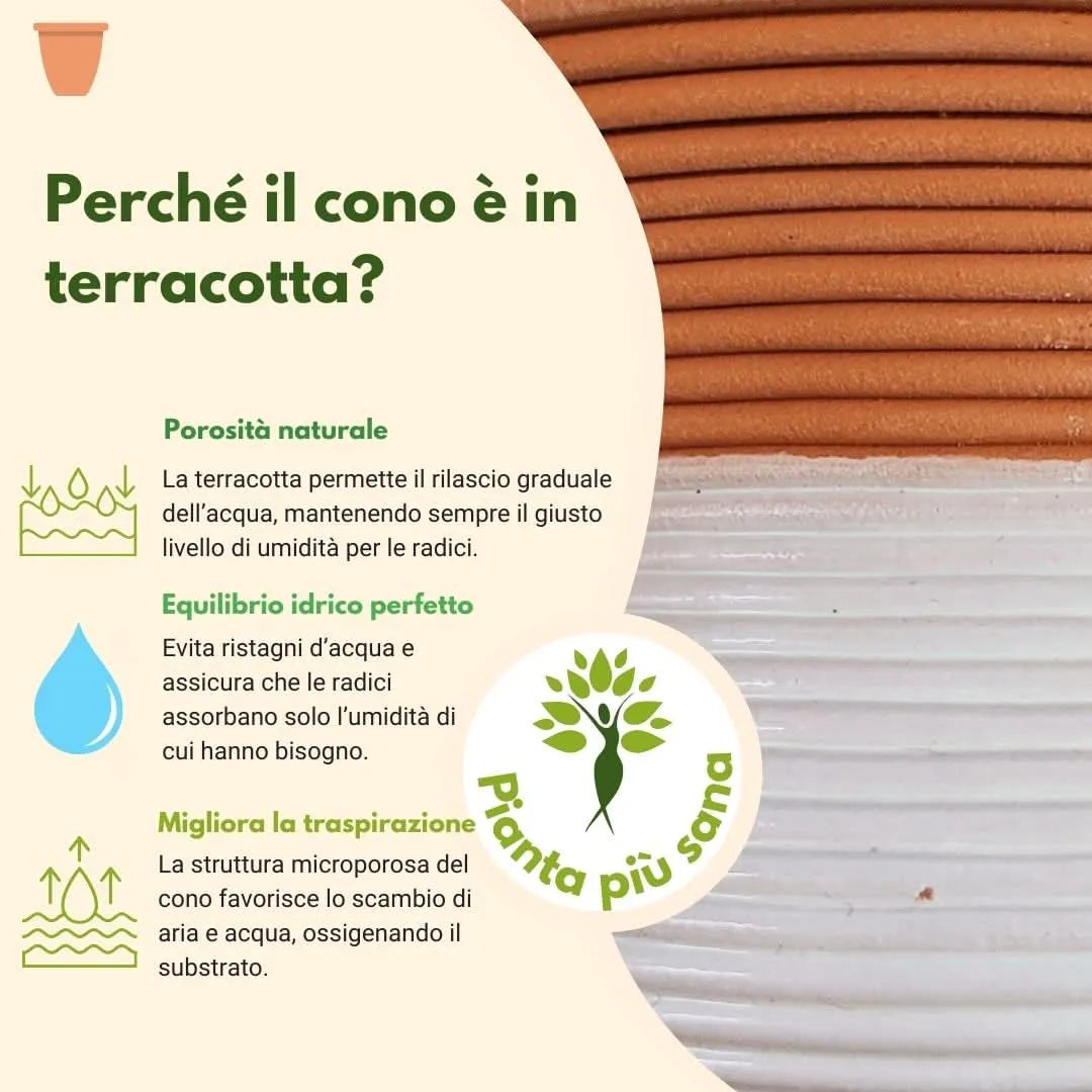 AcquaLum - Il Lume Botanico che Unisce Natura e Design