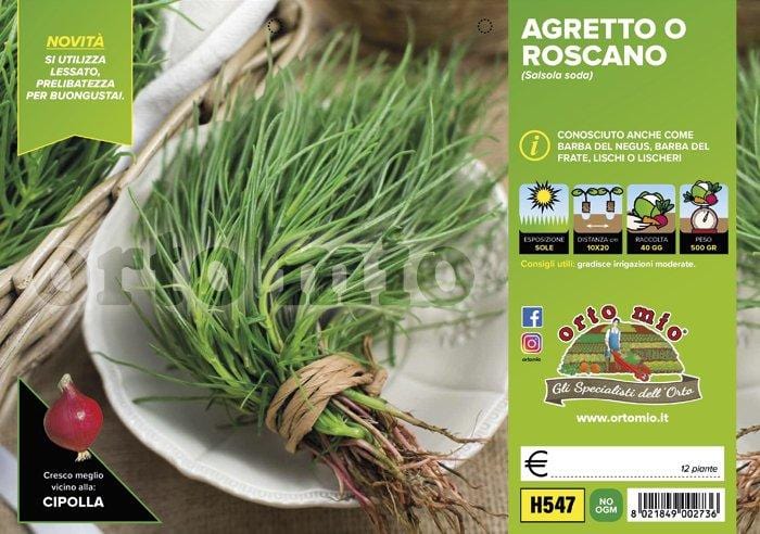 Agretto o Roscano - 12 piante - Orto Mio