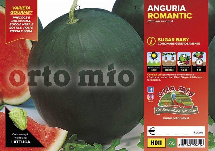 Anguria sugar baby Romantic F1 - 4 piante - Orto Mio