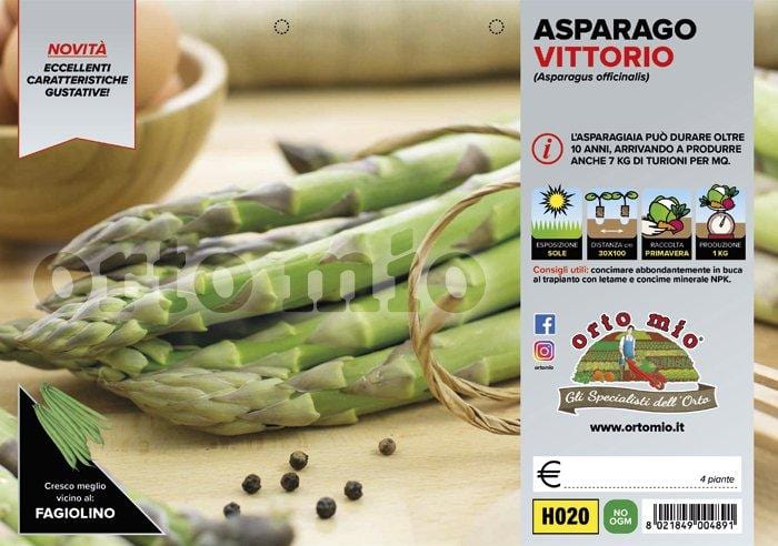 Asparago verde Vittorio F1 - 4 piante - Orto Mio