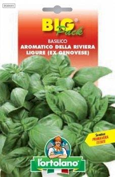 Basilico Aromatico Riviera Ligure (ex Genovese) - Big Pack - L'Ortolano