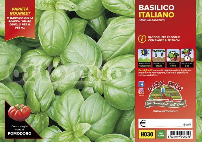 Basilico Italiano Classico Gemma - 6 piante - Orto Mio
