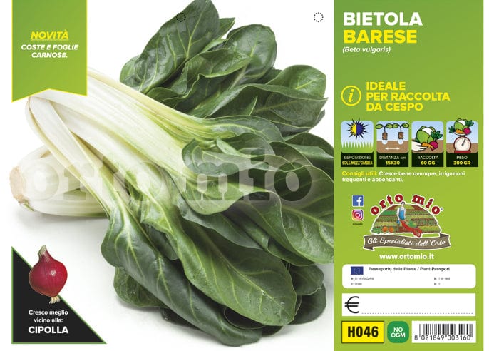 Bietola da cespo Corolla (Sel. Polignano) - 6 piante - Orto Mio