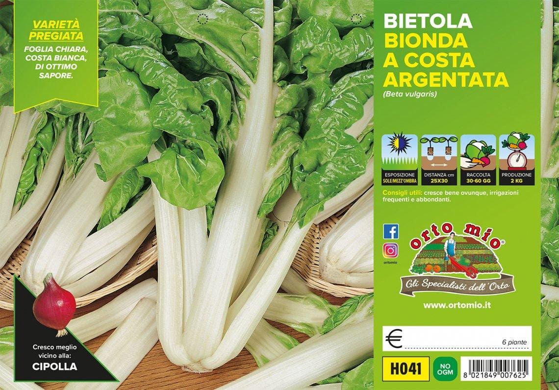 Bietola da Costa Bionda Argentata - 6 piante - Orto Mio