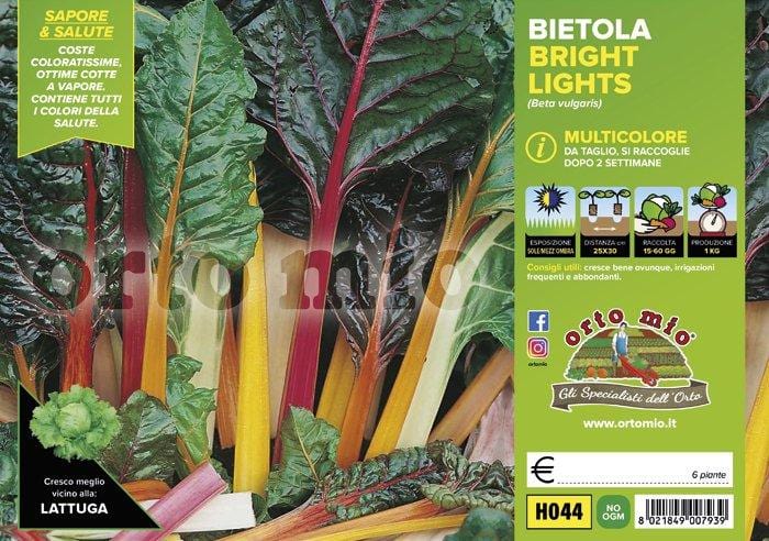 Bietola da costa e da taglio multicolore Bright Lights F1 - 6 piante - Orto Mio
