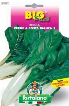 Bietola da Costa Verde a Costa Bianca 2 ( Da Taglio ) - Big Pack - L' Ortolano