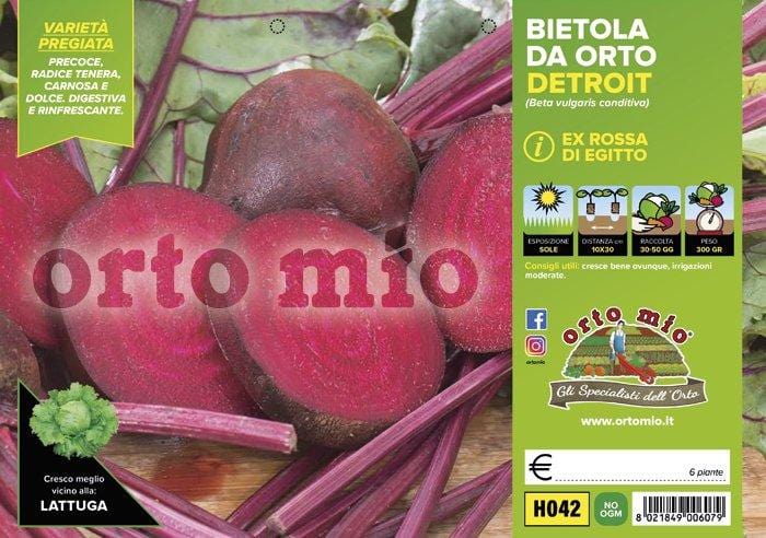 Bietola rossa da orto Detroit Moneta F1 - 6 piante - Orto Mio