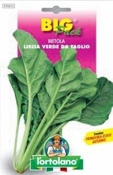 Bietola Liscia Verde da Taglio - Big Pack - L'Ortolano