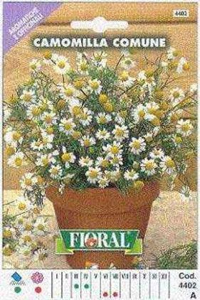 Camomilla in seme - Fioral