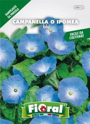 Campanella o Ipomea Blu - Floral