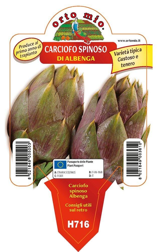 Carciofo spinoso di Albenga - 1 pianta v. 10 cm - Orto Mio