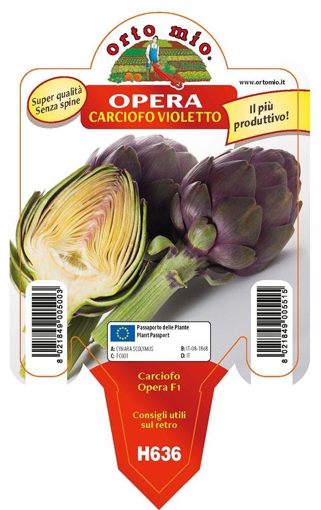 Carciofo Violetto Opera F1 - 1 pianta v.10 cm - Orto Mio