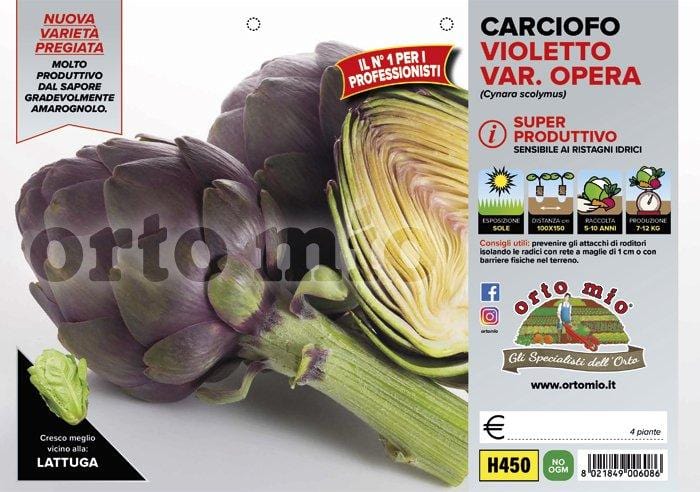 Carciofo Violetto Opera F1 - 4 piante - Orto Mio